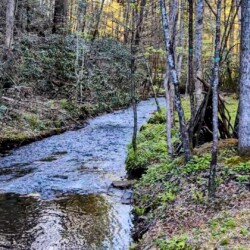 creekside cabin rentals blue ridge georgia