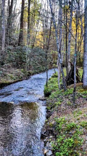 creekside cabin rentals blue ridge georgia