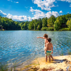 lake lure cabin rental