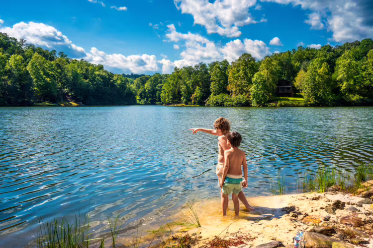 lake lure cabin rental
