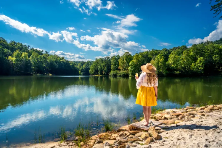 lake lure cabin rental