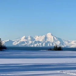 homer alaska cabin rentals