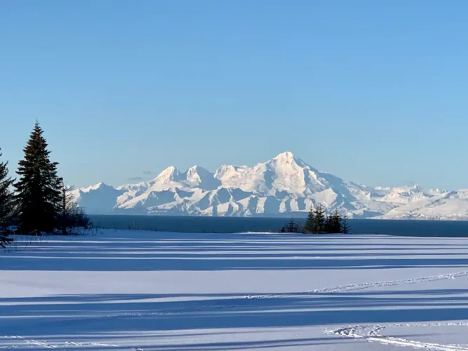 homer alaska cabin rentals