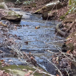 murphy north carolina cabin rentals