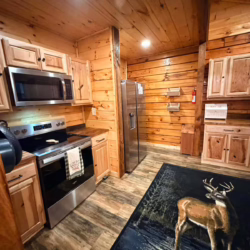 murphy north carolina cabin rentals