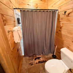 murphy north carolina cabin rentals