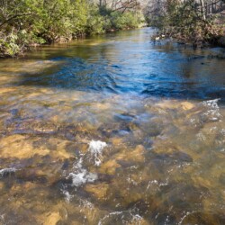 cabin rentals in north georgia with swimming pools