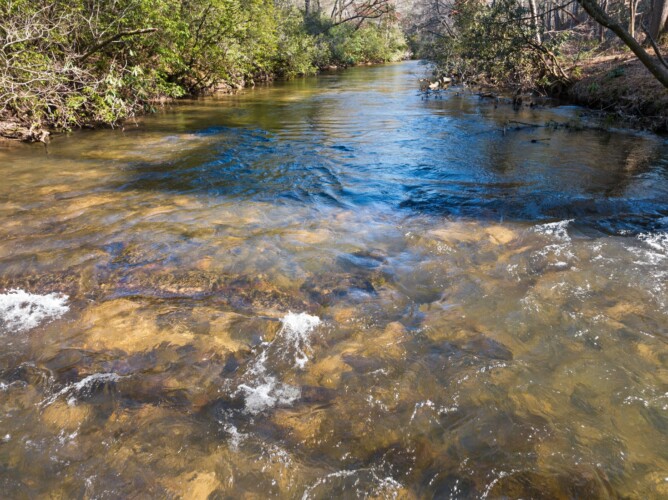 cabin rentals in north georgia with swimming pools