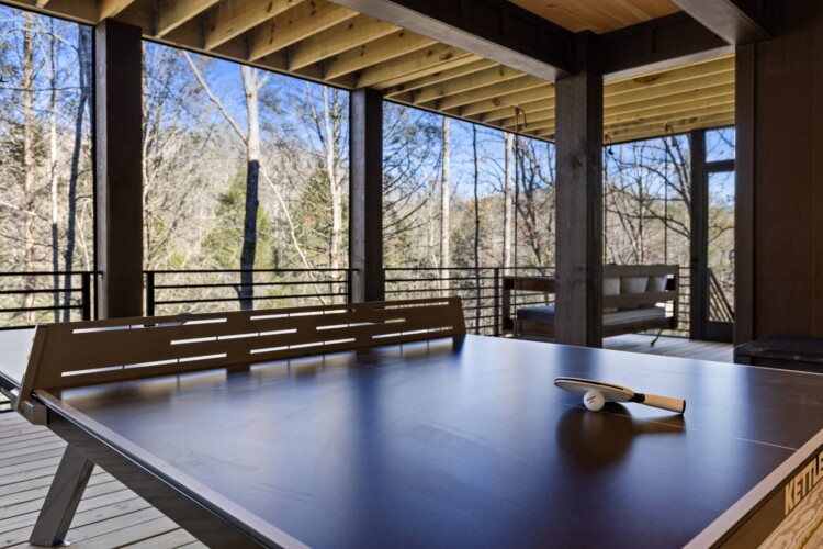 cabin rentals in north georgia with swimming pools