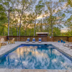 pet friendly cabins with swimming pools north georgia