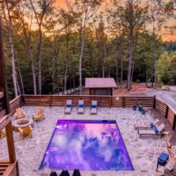 pet friendly cabins with swimming pools north georgia