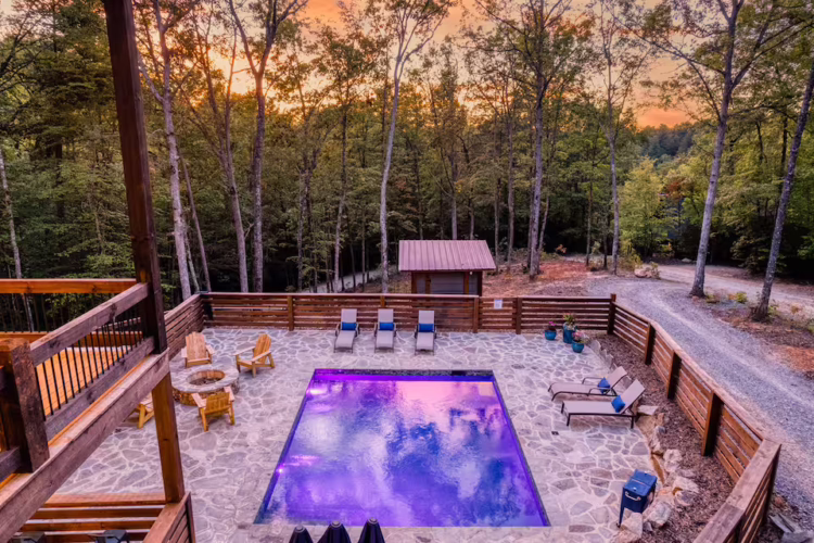 pet friendly cabins with swimming pools north georgia