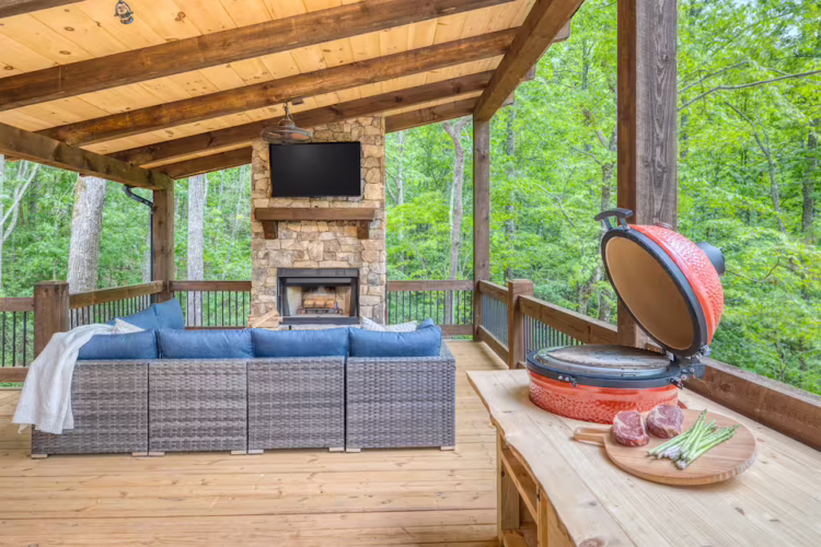 pet friendly cabins with swimming pools north georgia