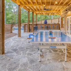 pet friendly cabins with swimming pools north georgia