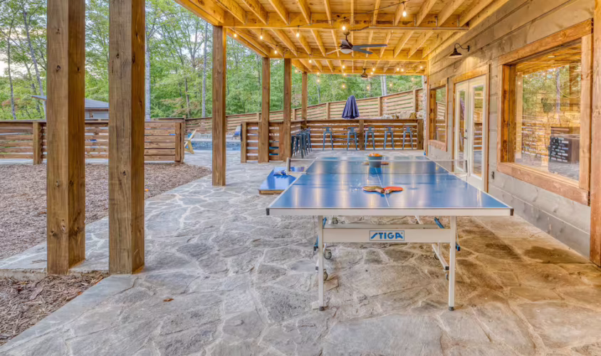 pet friendly cabins with swimming pools north georgia