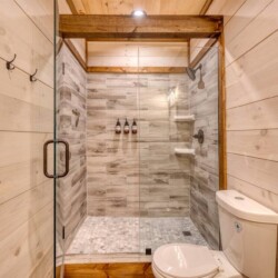 pet friendly cabins with swimming pools north georgia