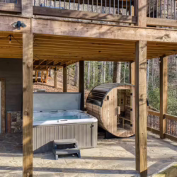 pet friendly cabins with swimming pools north georgia
