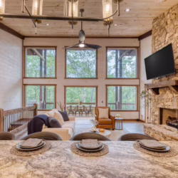 pet friendly cabins with swimming pools north georgia