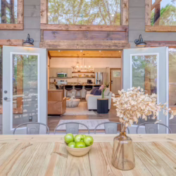 pet friendly cabins with swimming pools north georgia