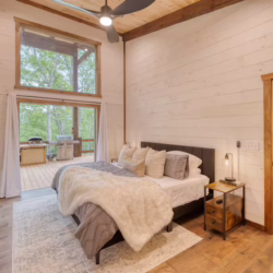 pet friendly cabins with swimming pools north georgia