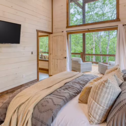 pet friendly cabins with swimming pools north georgia