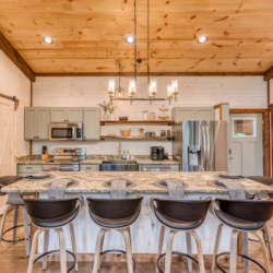 pet friendly cabins with swimming pools north georgia