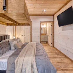 pet friendly cabins with swimming pools north georgia