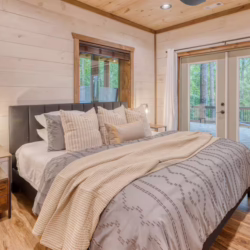 pet friendly cabins with swimming pools north georgia