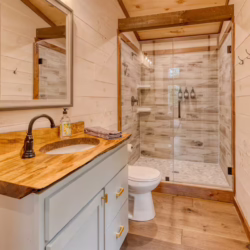 pet friendly cabins with swimming pools north georgia