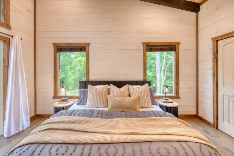 pet friendly cabins with swimming pools north georgia