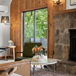 pet friendly cabins near helen ga