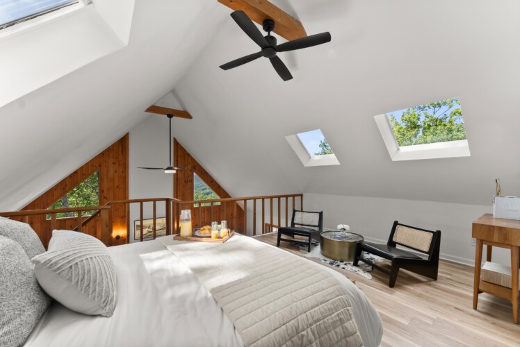 pet friendly cabins near helen ga