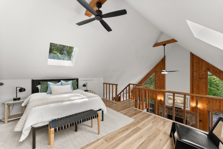 pet friendly cabins near helen ga