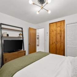 pet friendly cabins near helen ga