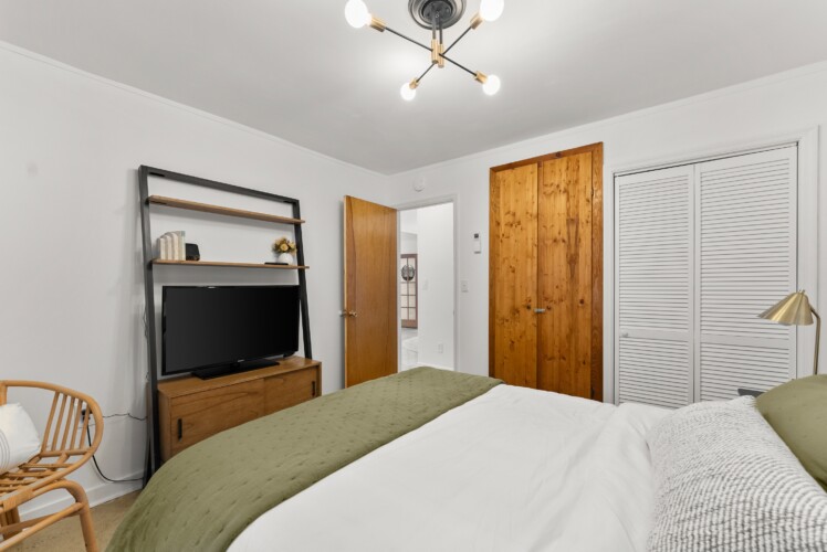 pet friendly cabins near helen ga