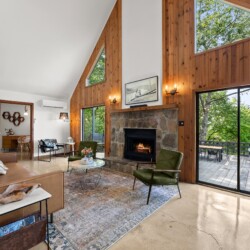 pet friendly cabins near helen ga