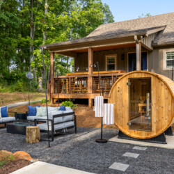 pet friendly cabins in north georgia
