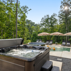 pet friendly cabins in north georgia