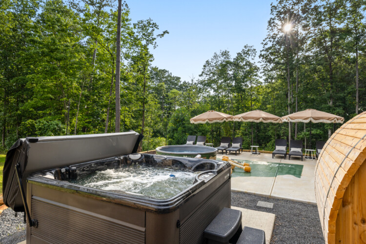 pet friendly cabins in north georgia
