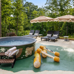 pet friendly cabins in north georgia