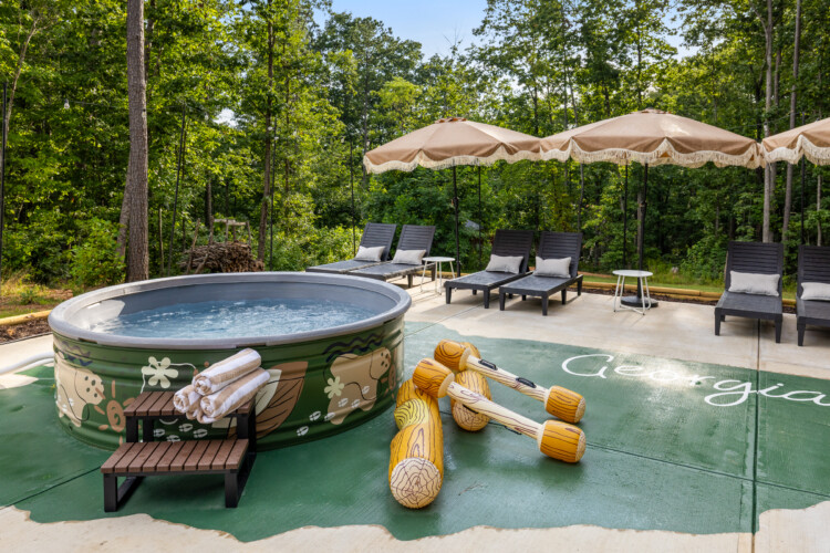 pet friendly cabins in north georgia