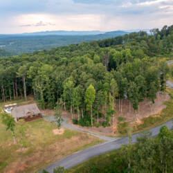 pet friendly cabins in north georgia