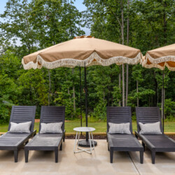 pet friendly cabins in north georgia
