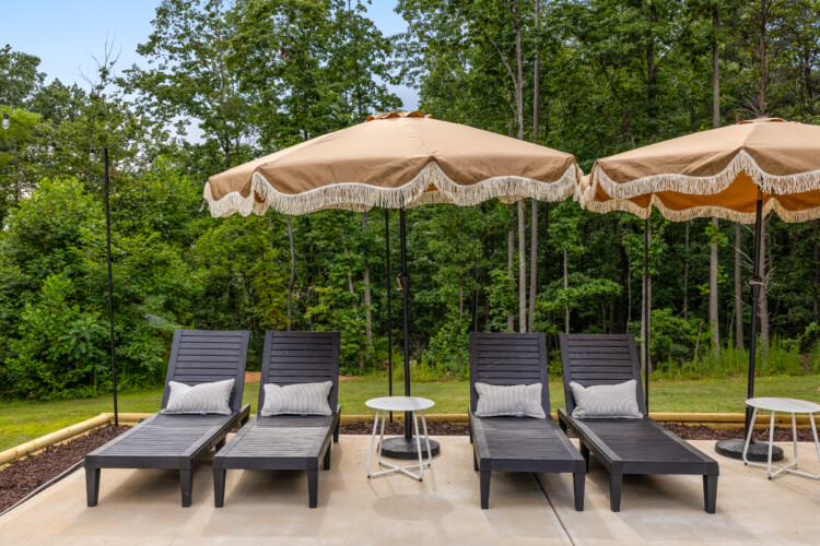 pet friendly cabins in north georgia