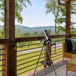 pet friendly cabins in north georgia