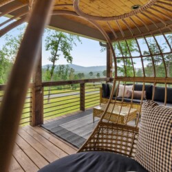 pet friendly cabins in north georgia