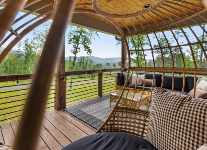 pet friendly cabins in north georgia