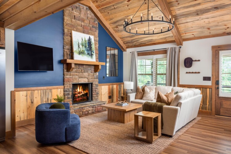 pet friendly cabins in north georgia