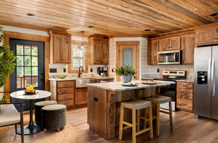 pet friendly cabins in north georgia