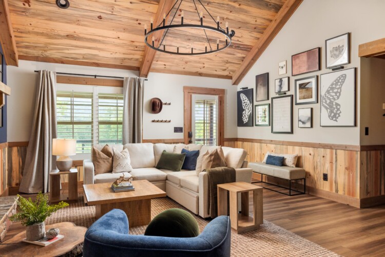 pet friendly cabins in north georgia